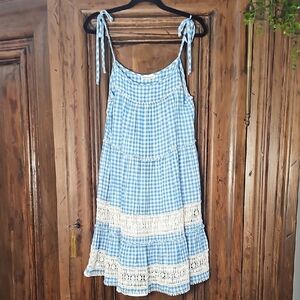 Roller Rabbit Blue and White Gingham Dress